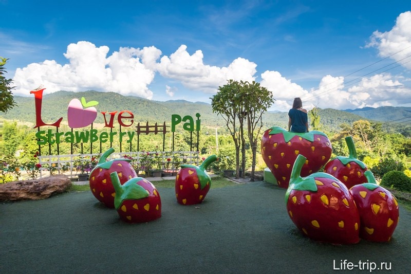 Love Strawberry Pai Resturant в Пае - клубничные поля форева!