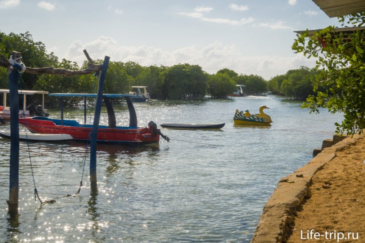 Mangrove Point - мангровые заросли на Лембонгане